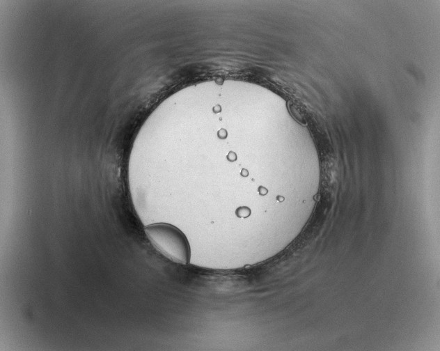 X0000116680615201001041150