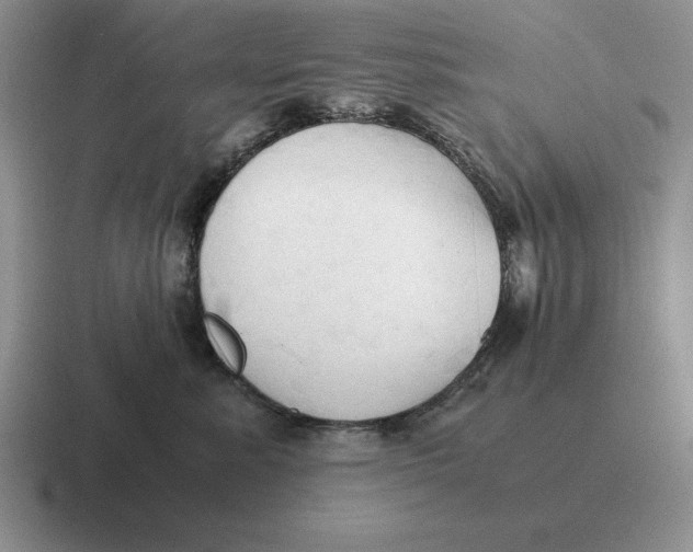 X0000116680619201001041150