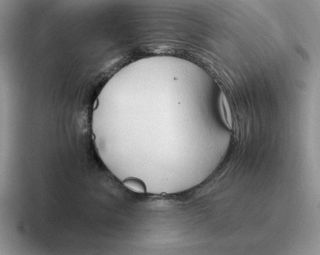 X0000116680620201001041150