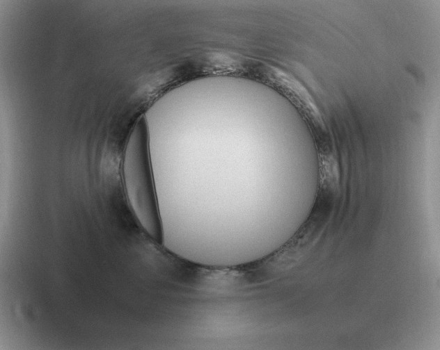 X0000116680621201001041150