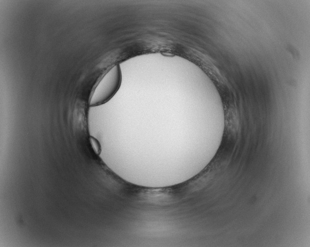 X0000116680622201001041150