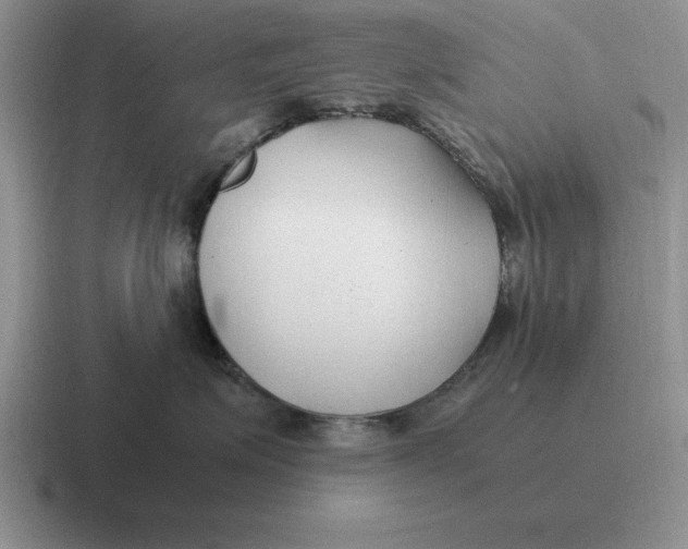 X0000116680623201001041150