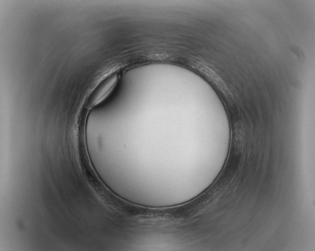 X0000116680626201001041149