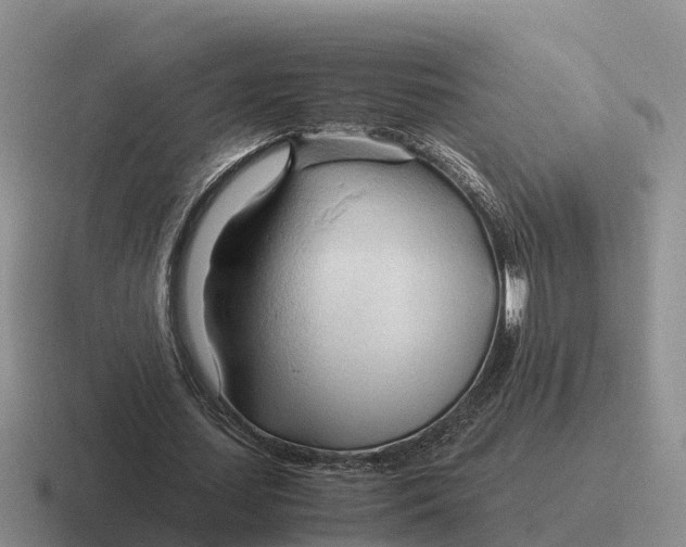 X0000116680627201001041149