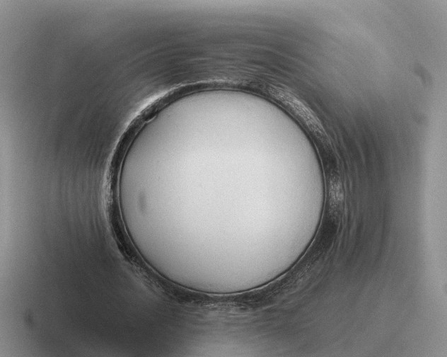 X0000116680628201001041149