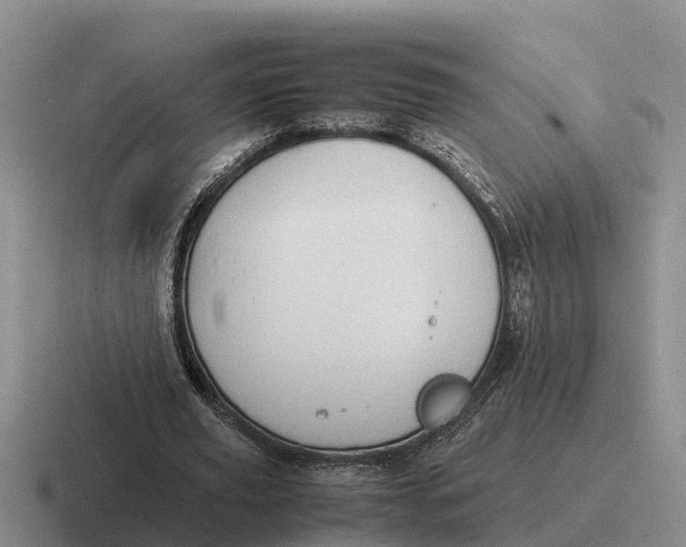 X0000116680629201001041149