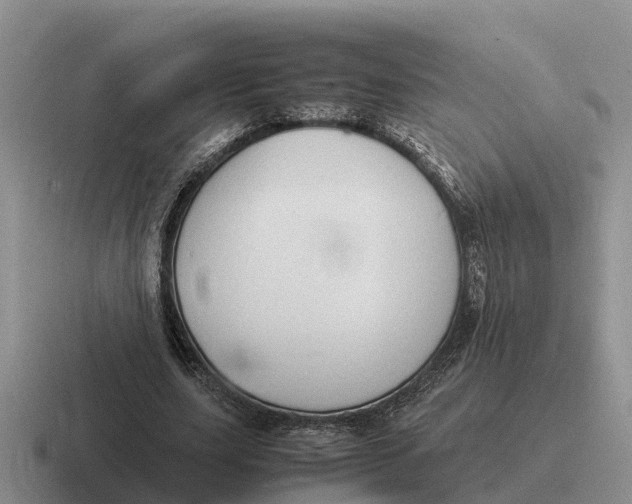 X0000116680631201001041149