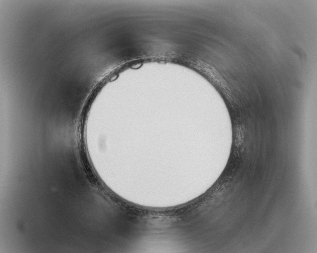 X0000116680632201001041149