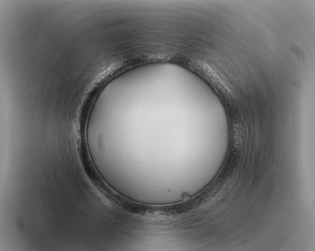 X0000116680634201001041149