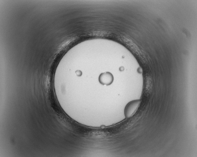 X0000116680636201001041149