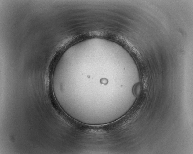 X0000116680637201001041149