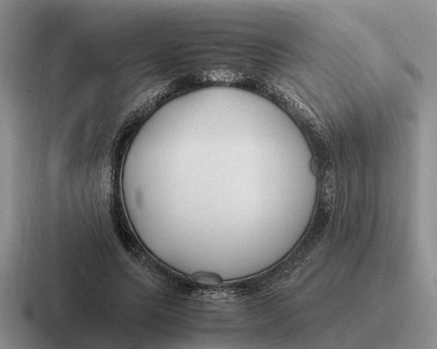 X0000116680639201001041149