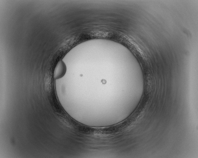 X0000116680641201001041149