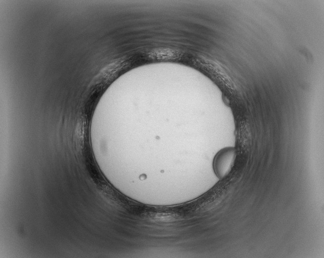 X0000116680645201001041149