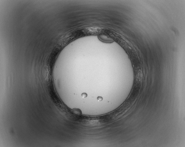 X0000116680651201001041149