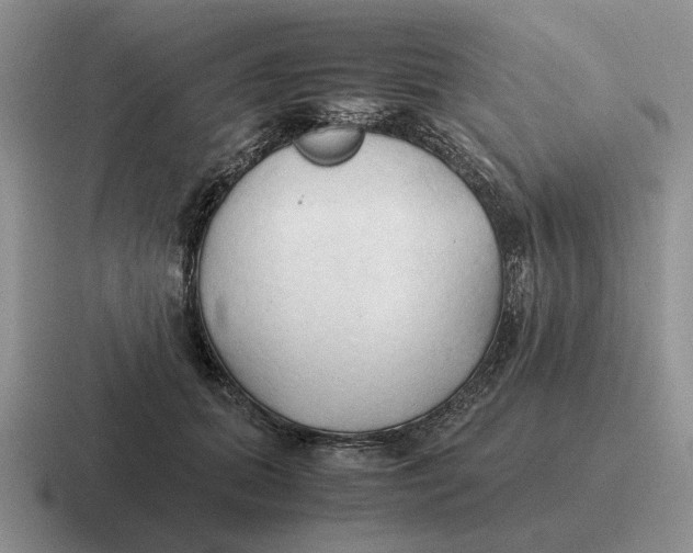 X0000116680655201001041150