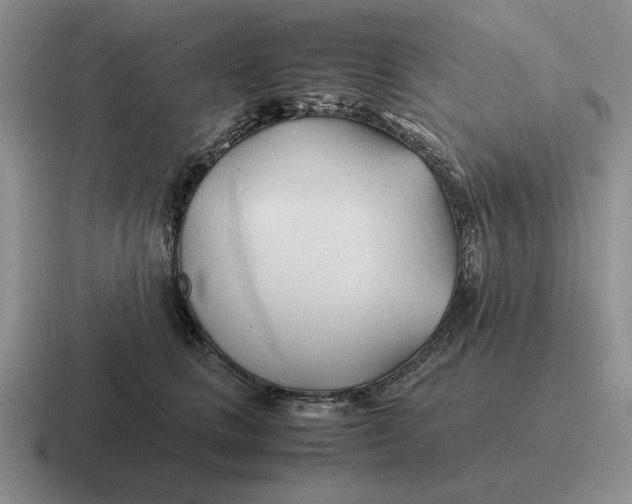 X0000116680661201001041150