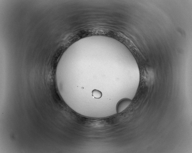 X0000116680663201001041150