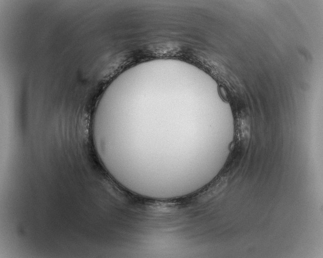 X0000116680664201001041150