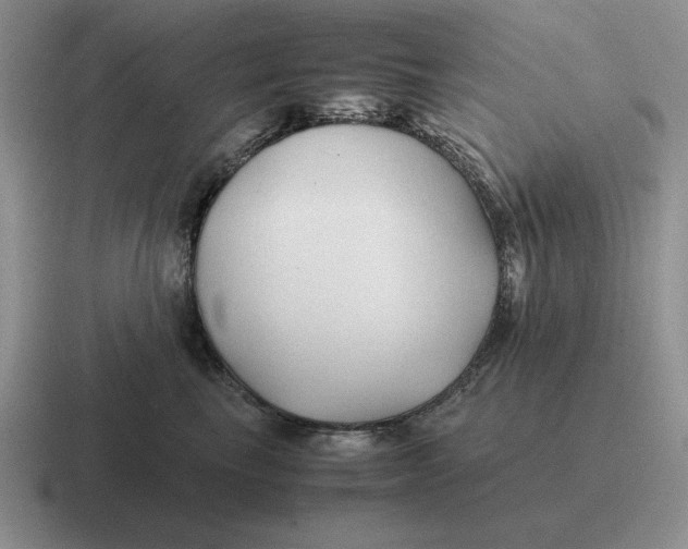 X0000116680665201001041150