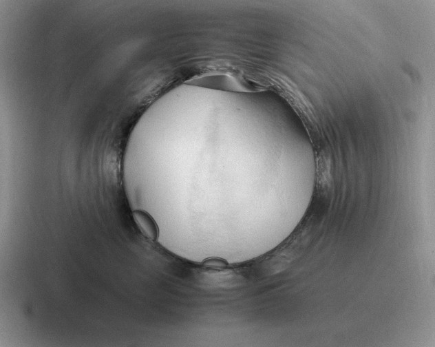 X0000116680669201001041150