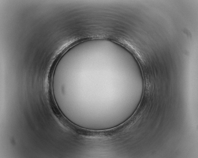 X0000116680674201001041149