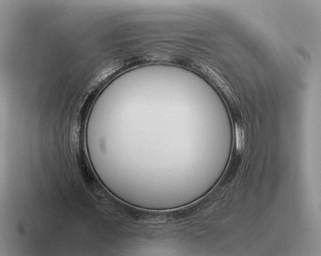 X0000116680675201001041149