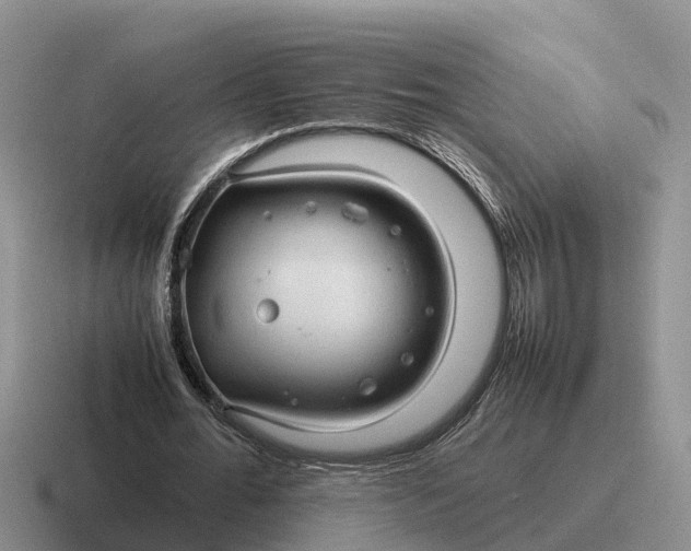 X0000116680676201001041149