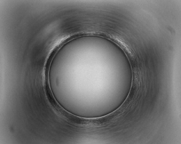 X0000116680678201001041149