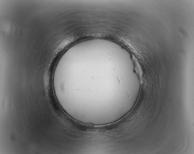 X0000116680679201001041149