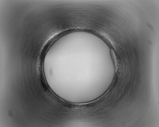 X0000116680680201001041149