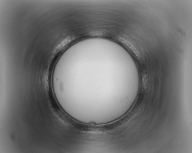 X0000116680682201001041149