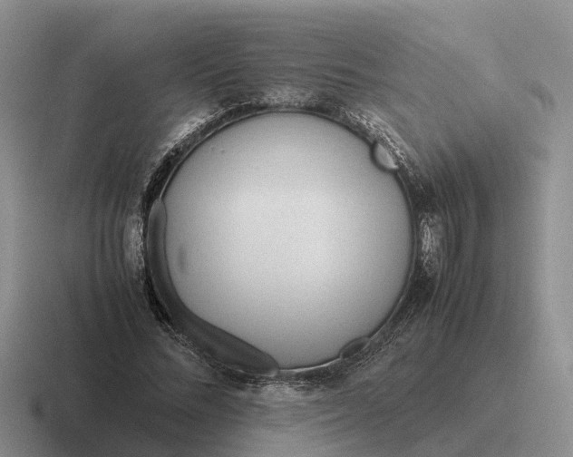 X0000116680684201001041149