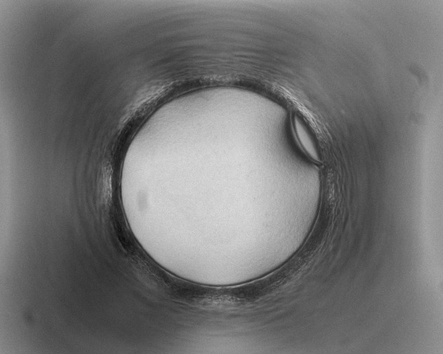 X0000116680685201001041149