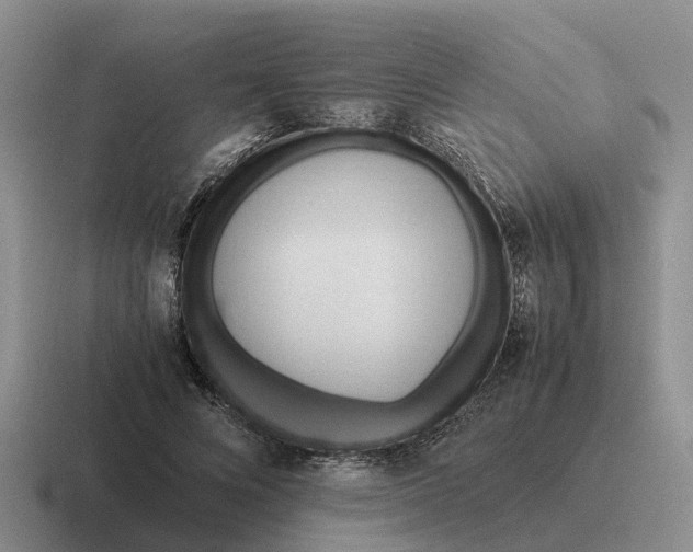 X0000116680688201001041149