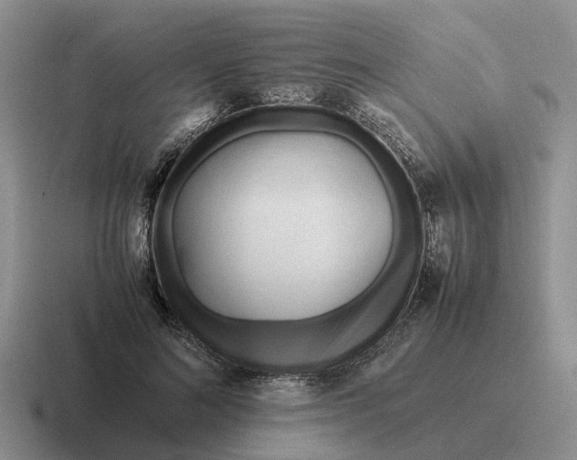 X0000116680692201001041149