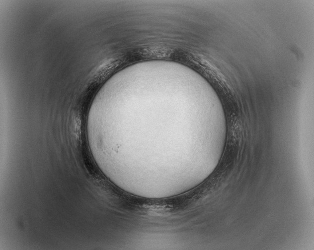 X0000116680693201001041149