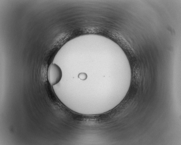 X0000116680694201001041149