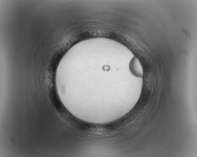 X0000116680695201001041149