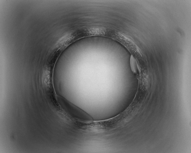 X0000116680696201001041149