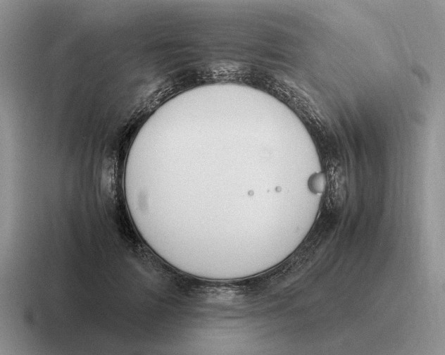 X0000116680698201001041149