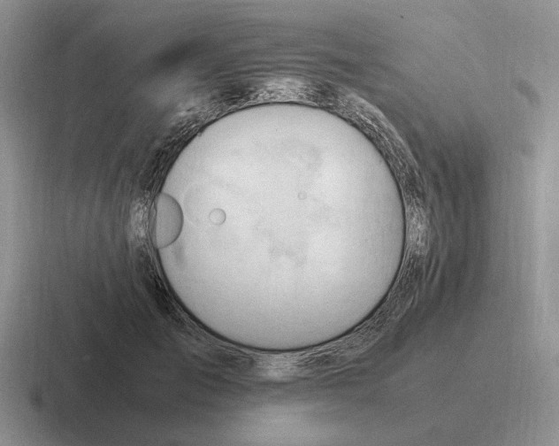 X0000116680701201001041149