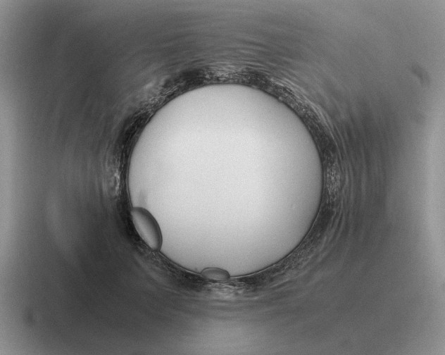 X0000116680703201001041149