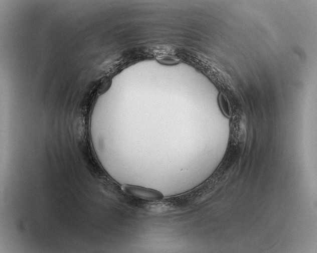 X0000116680704201001041149