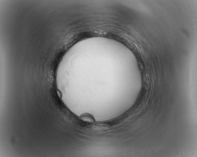 X0000116680707201001041149