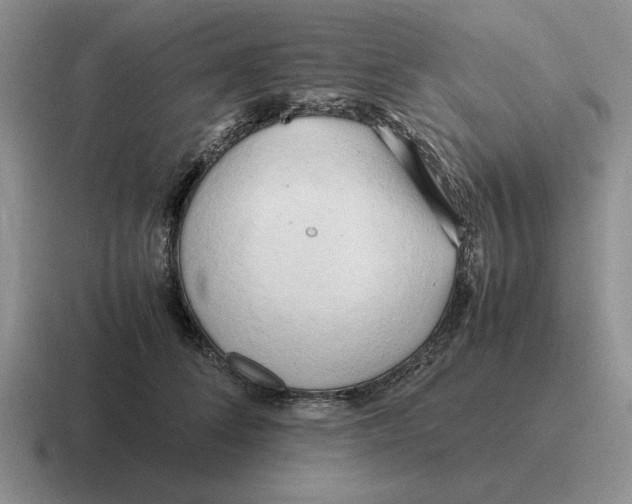 X0000116680708201001041149