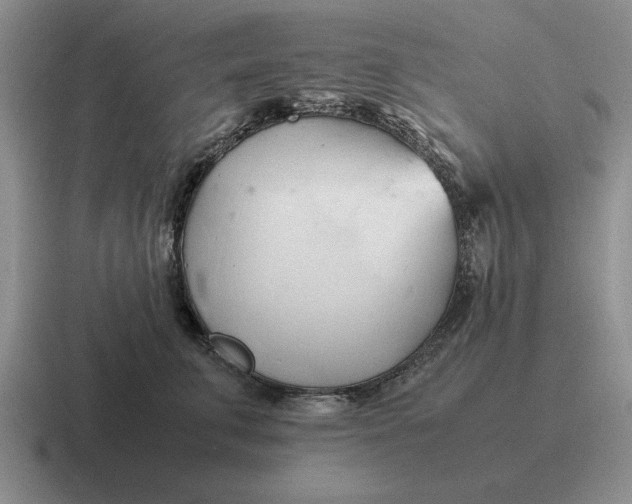 X0000116680711201001041149