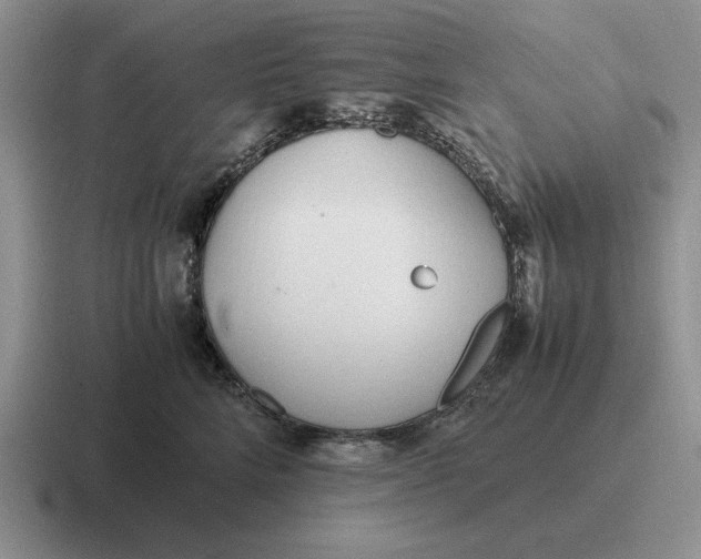 X0000116680712201001041149