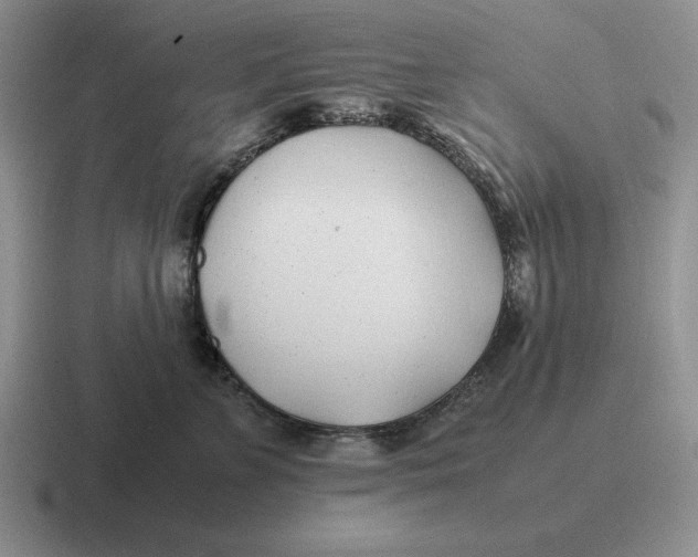 X0000116680715201001041149