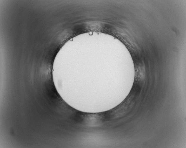 X0000116680717201001041149